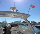Seashells First Cruise! 2