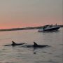 Boat trip at sunset