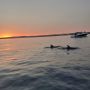 Viagem de barco ao pôr-do-sol
