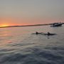 Boat trip at sunset