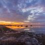 Ria Formosa By Boat