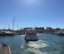 Seashells First Cruise! 4