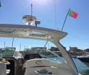 Seashells First Cruise! 2