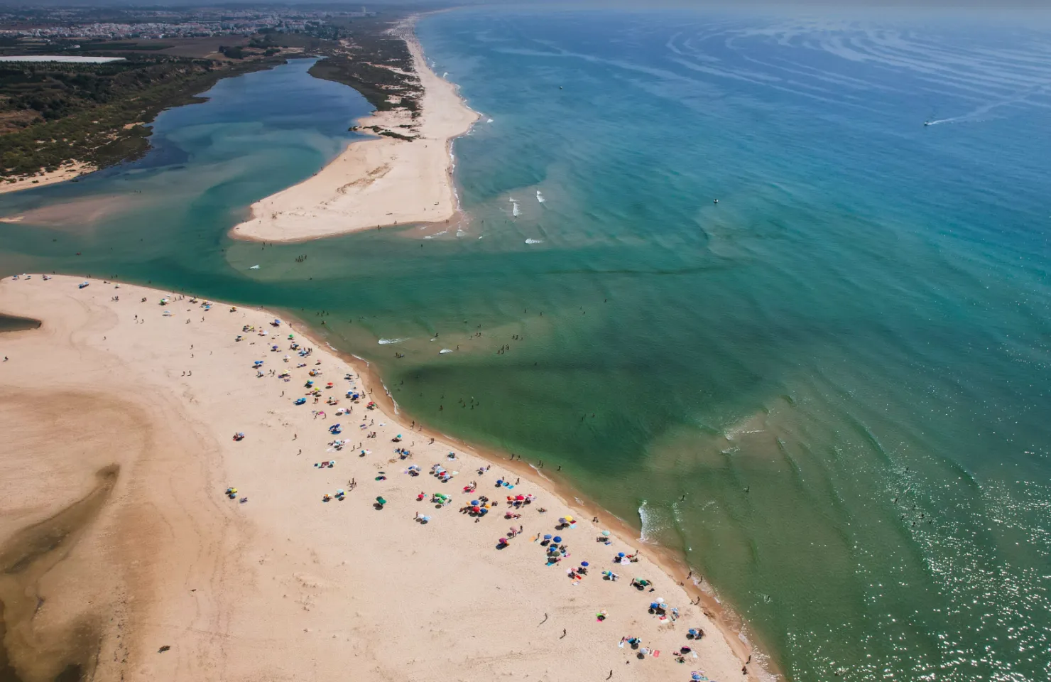 Ria Formosa Boat Cruise